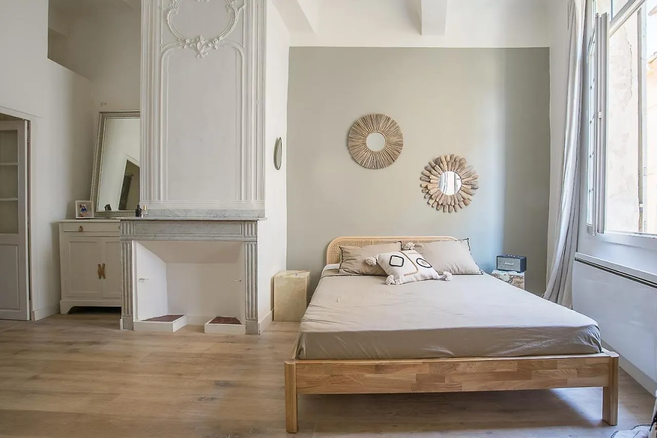 Le Cocon Aixois Apartment Aix-en-Provence